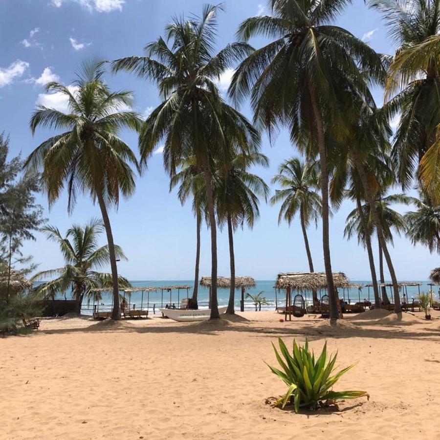 Upali Beach Surf Resort & Cafe อารูกัมเบย์ ภายนอก รูปภาพ